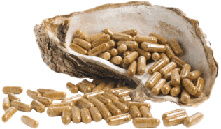 oyster max capsules inside an oyster shell